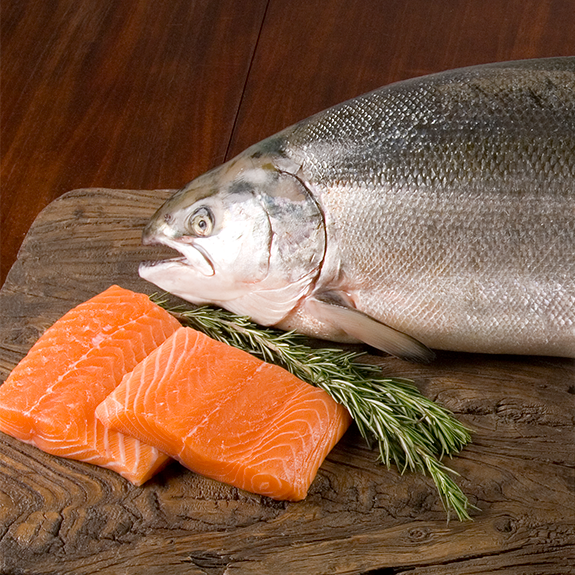 Atlantic Salmon